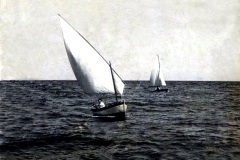 gozzo_alfredo_1