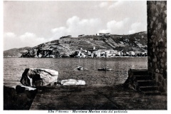N-19