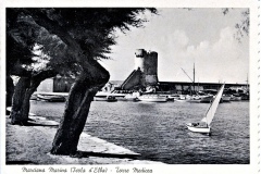 N-24