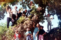 C-11MADONNA.M-1967
