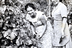 1-1959
