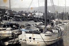 padre__carlo_schiaffino_d