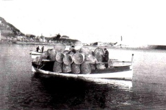 B-11