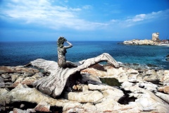 ITALY - MARCH 29: Rocks between the beaches of Phoenicia and Fenicetta with the statue of the Little Mermaid, Marciana Marina, Elba, Tuscan Archipelago national park, Tuscany, Italy. (Photo by DeAgostini/Getty Images)