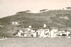 1951