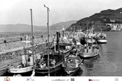 pesca2