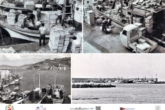 pesca3