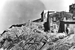 COTONE-ANNI-50