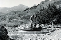 IMG_20240108_0017